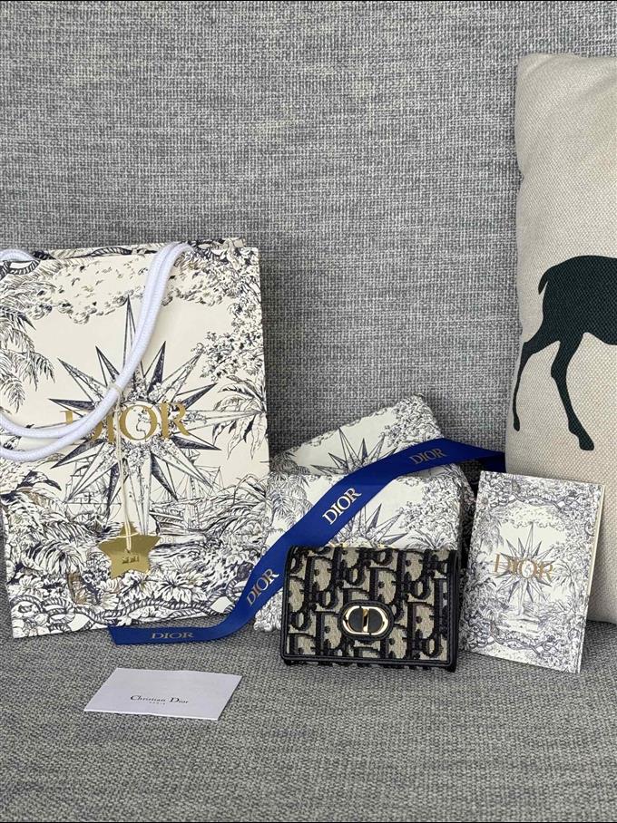 2025228Y230P203542517