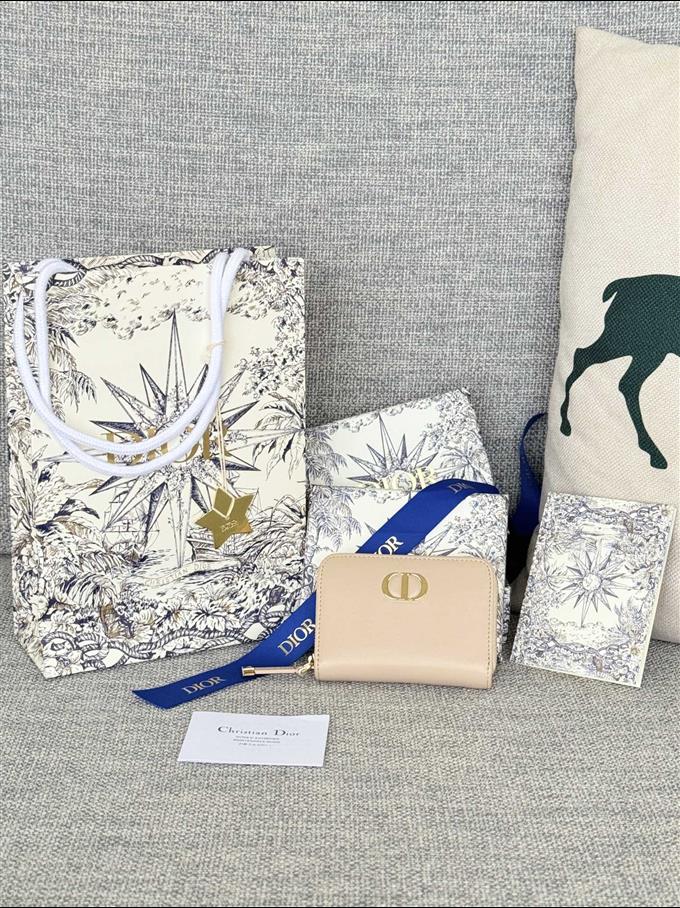 2025228Y240P182126802