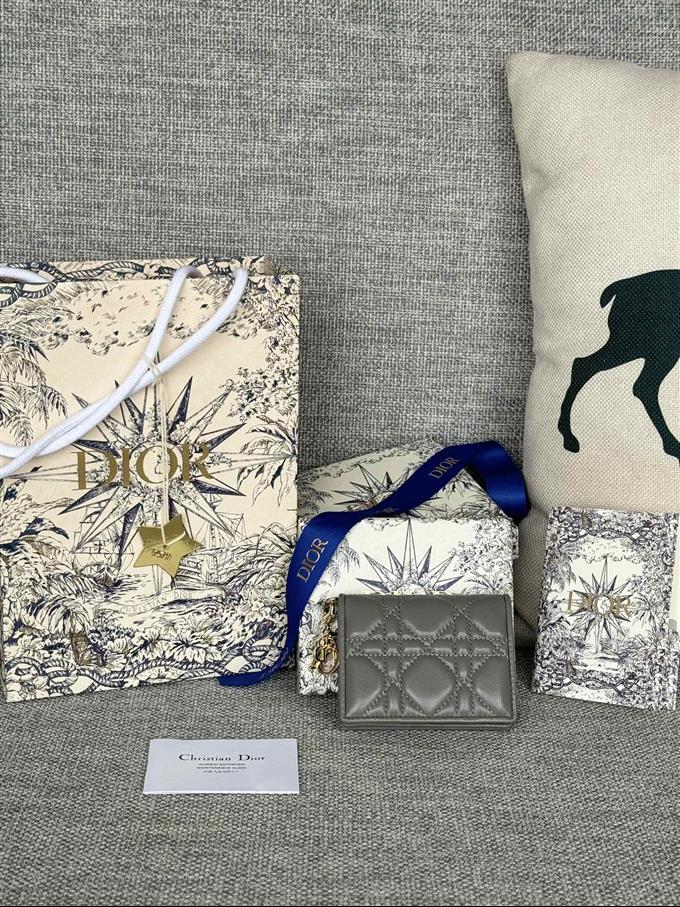 2025228Y240P203543188