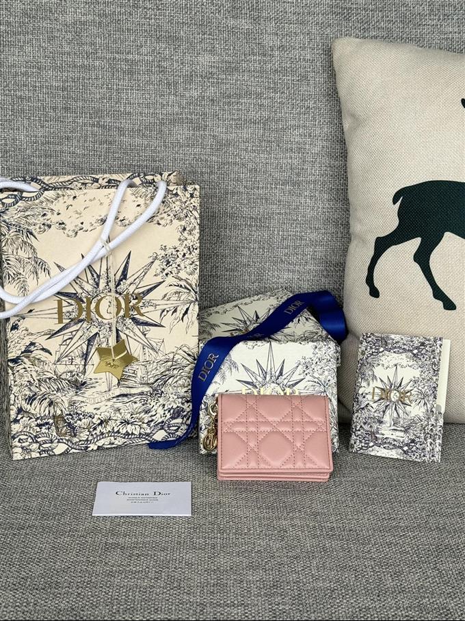 2025228Y240P203543328