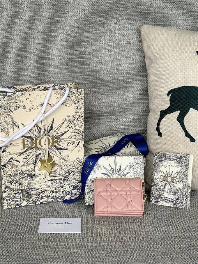 2025228Y240P203543344