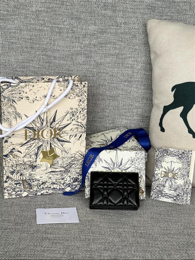 2025228Y240P203543485