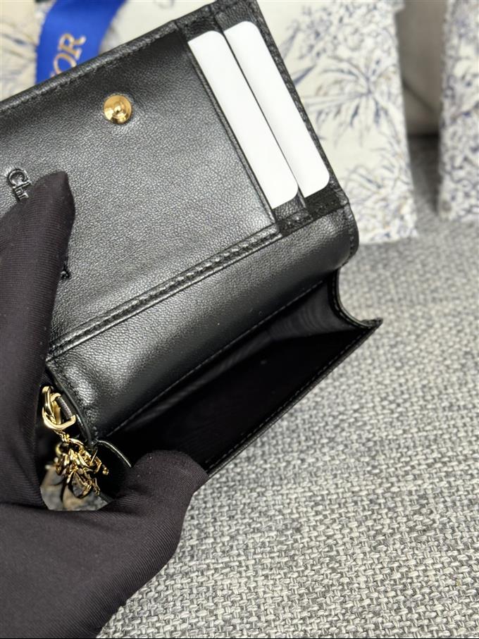 2025228Y240P203543579