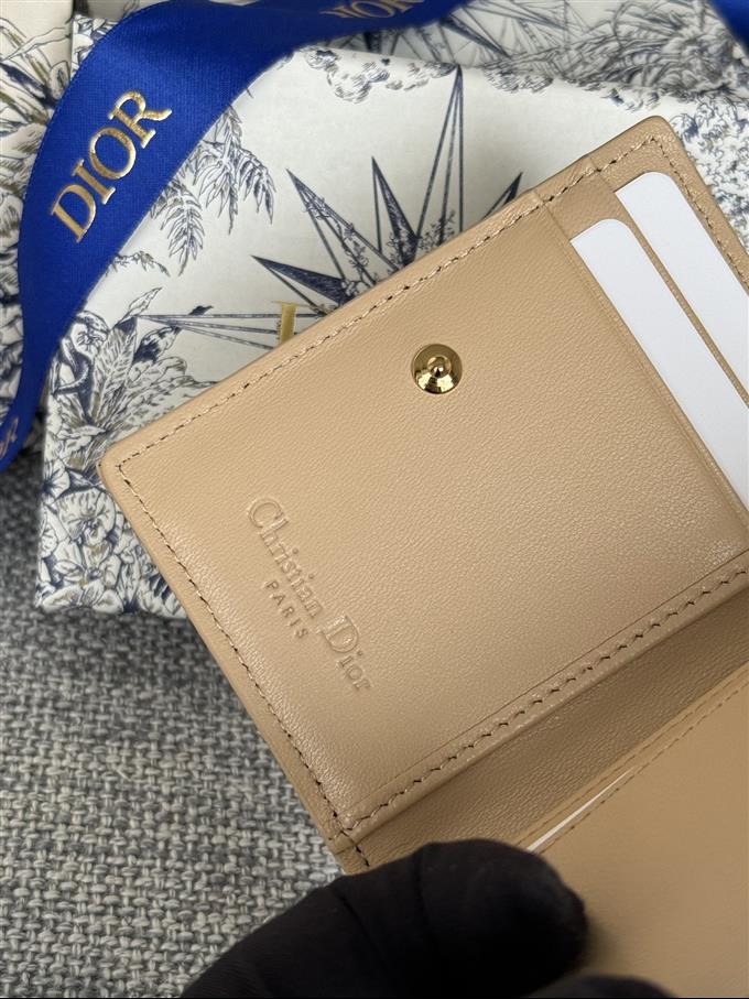 2025228Y240P203543703