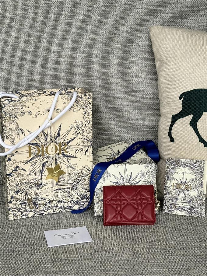 2025228Y240P203543765