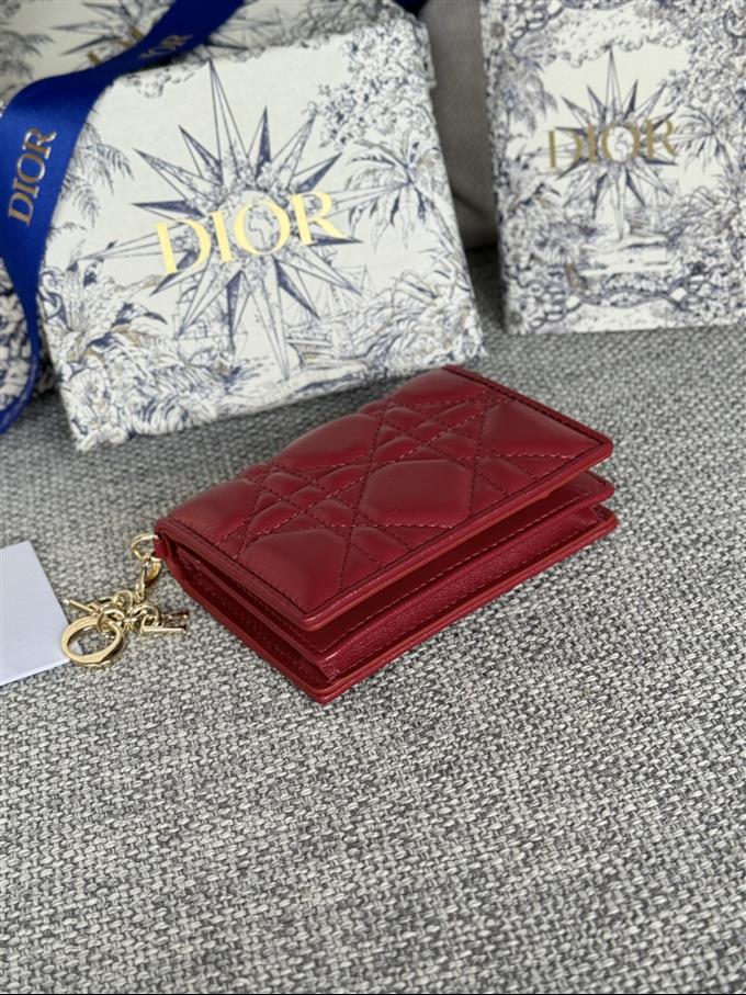 2025228Y240P203543781