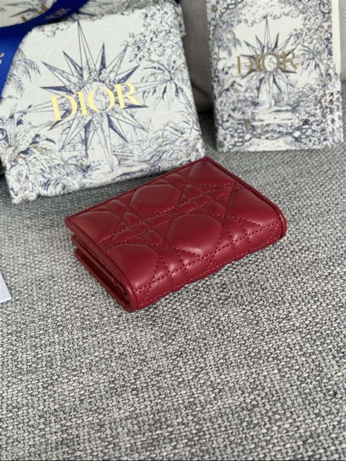 2025228Y240P203543796