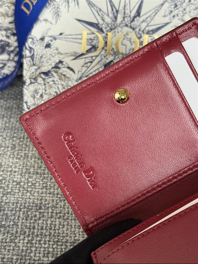 2025228Y240P203543843