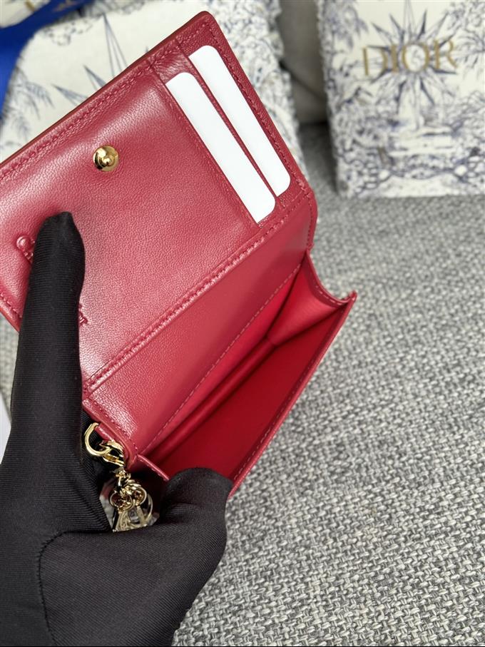 2025228Y240P203543858