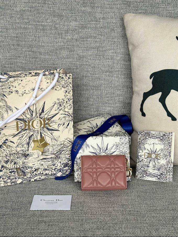 2025228Y240P203543905