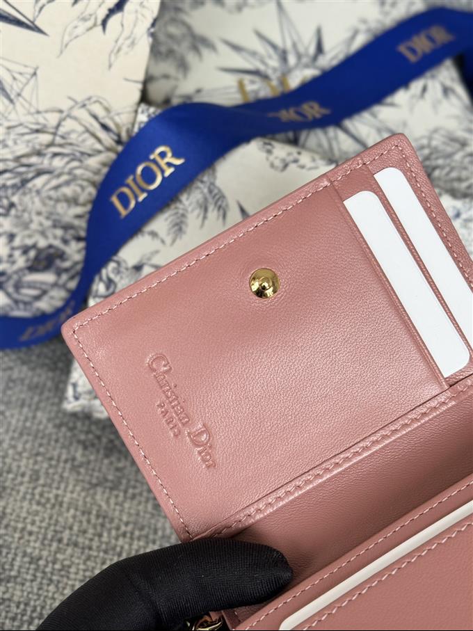 2025228Y240P203543968