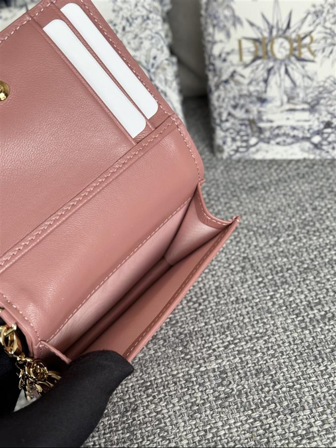 2025228Y240P203543983