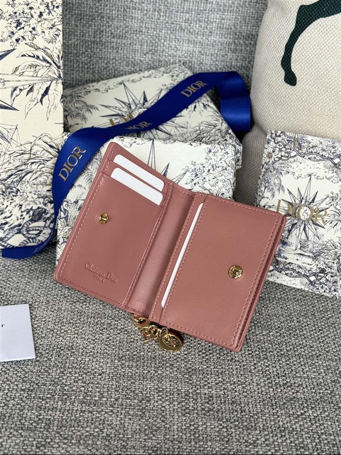 2025228Y240P203543998