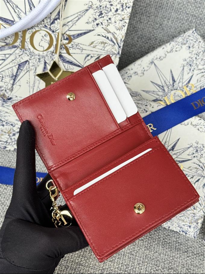 2025228Y240P203544246