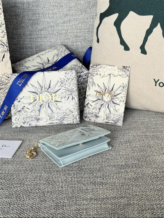 2025228Y240P203544339