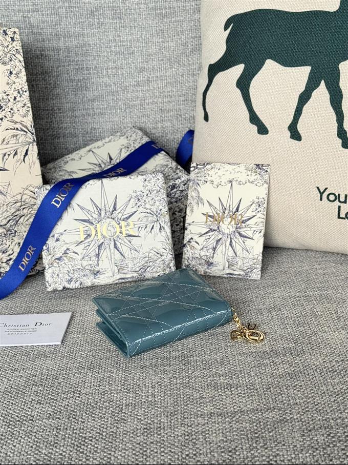 2025228Y240P203544497