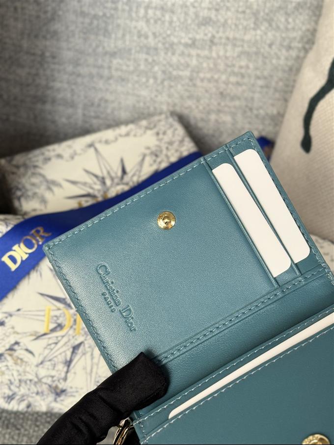 2025228Y240P203544559