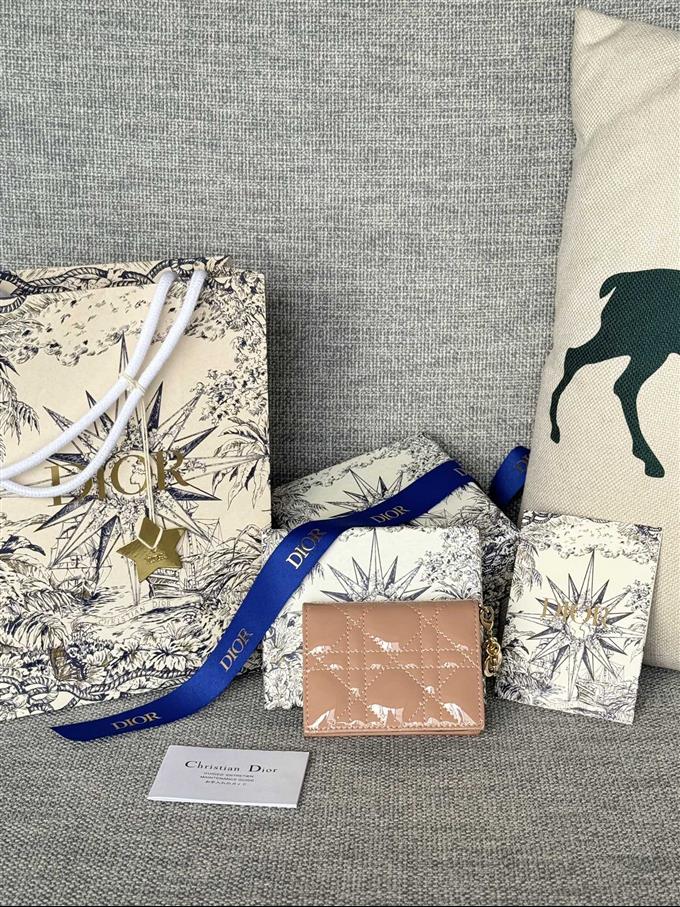 2025228Y240P203544607