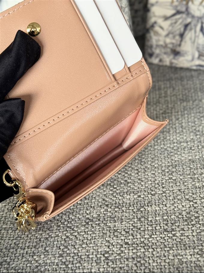 2025228Y240P203544718