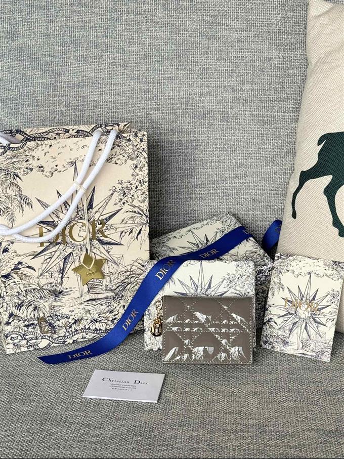 2025228Y240P203544733