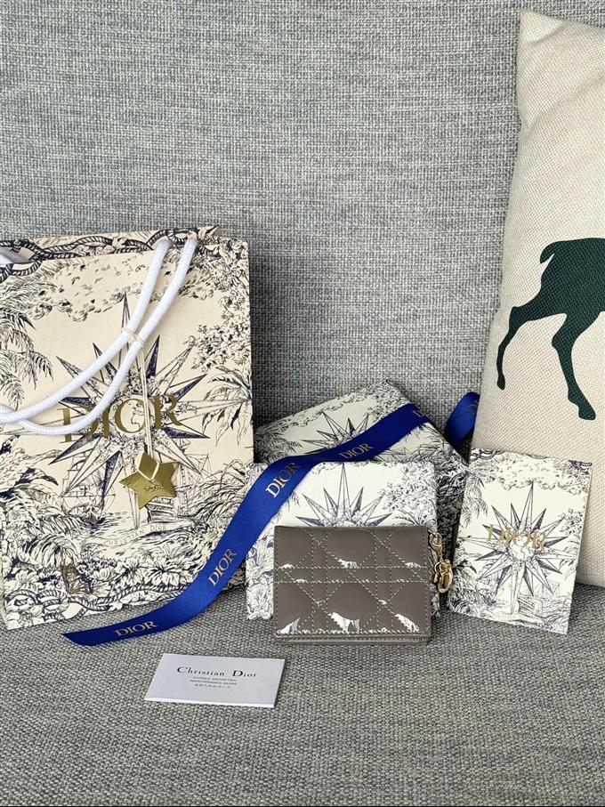 2025228Y240P203544749