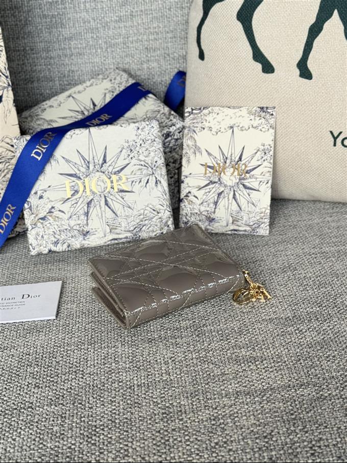 2025228Y240P203544780