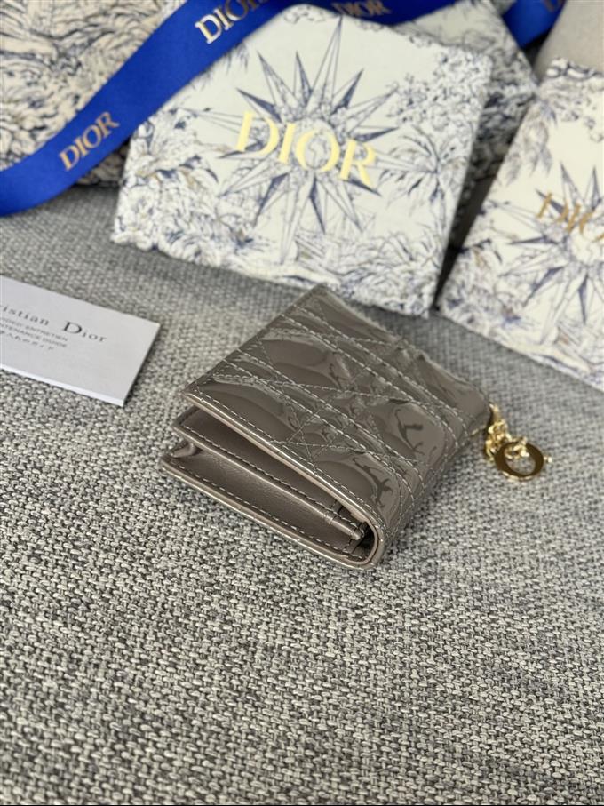 2025228Y240P203544796