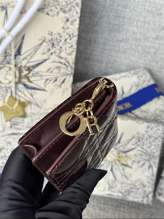 2025228Y240P203544954