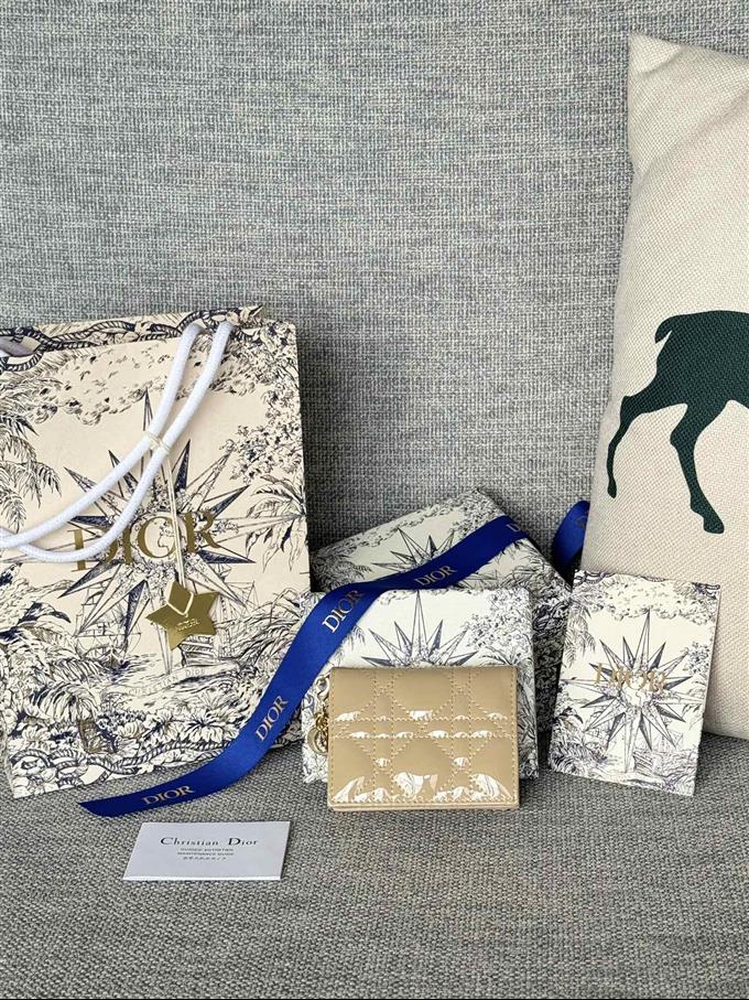 2025228Y240P20354517