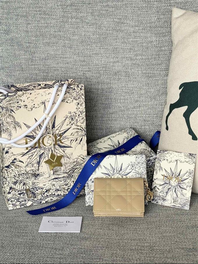 2025228Y240P20354532