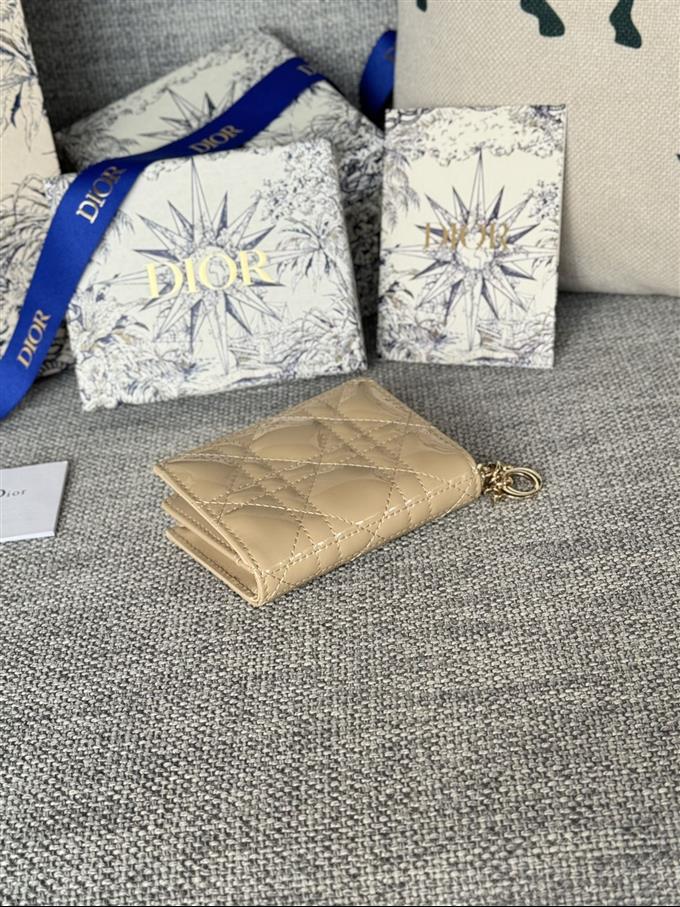 2025228Y240P20354564