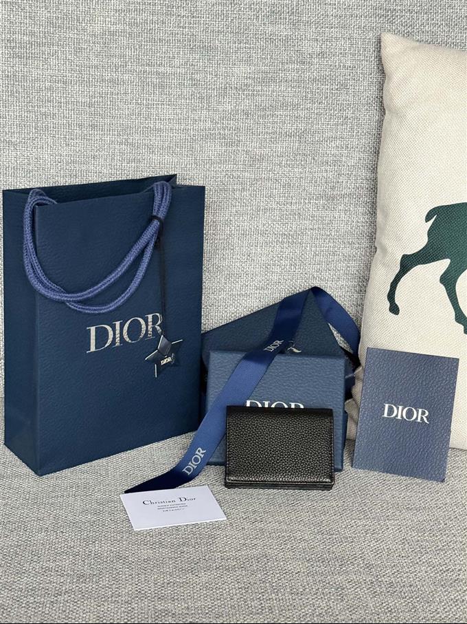 2025228Y240P203641524