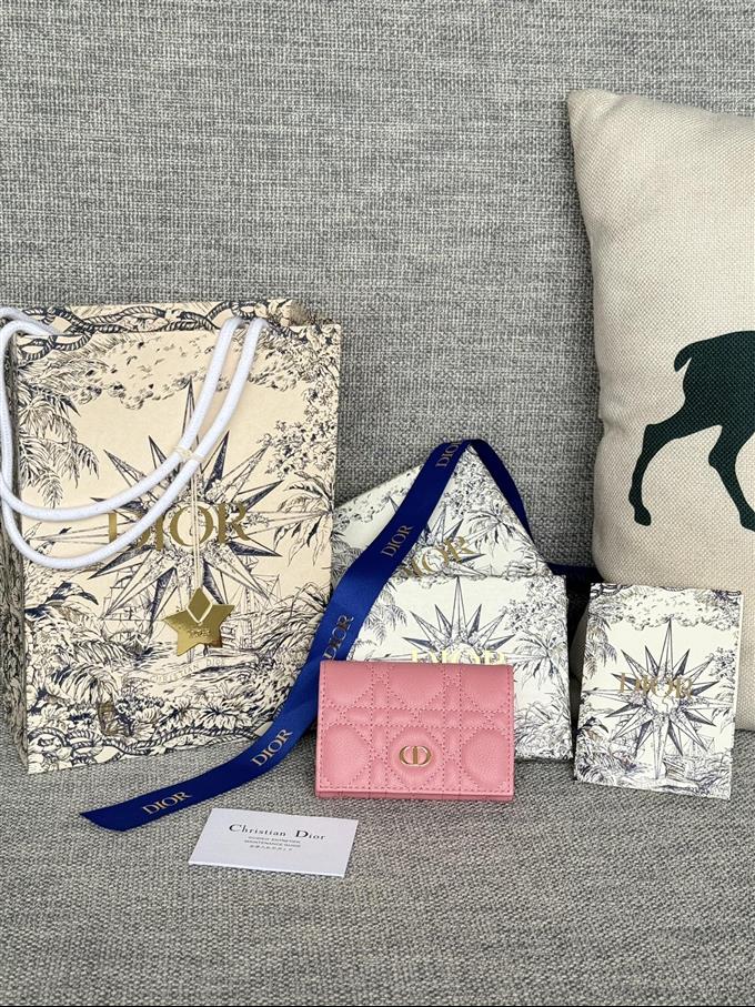 2025228Y240P20375528