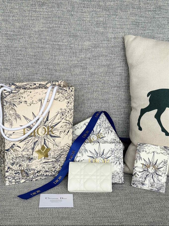 2025228Y240P20376112