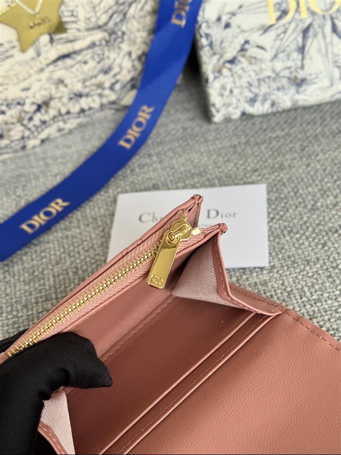 2025228Y240P20376488