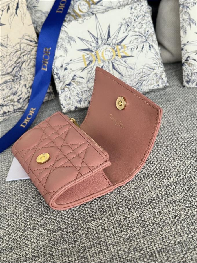 2025228Y240P20376504