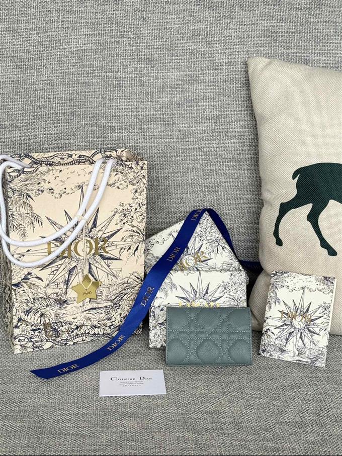 2025228Y240P20376536