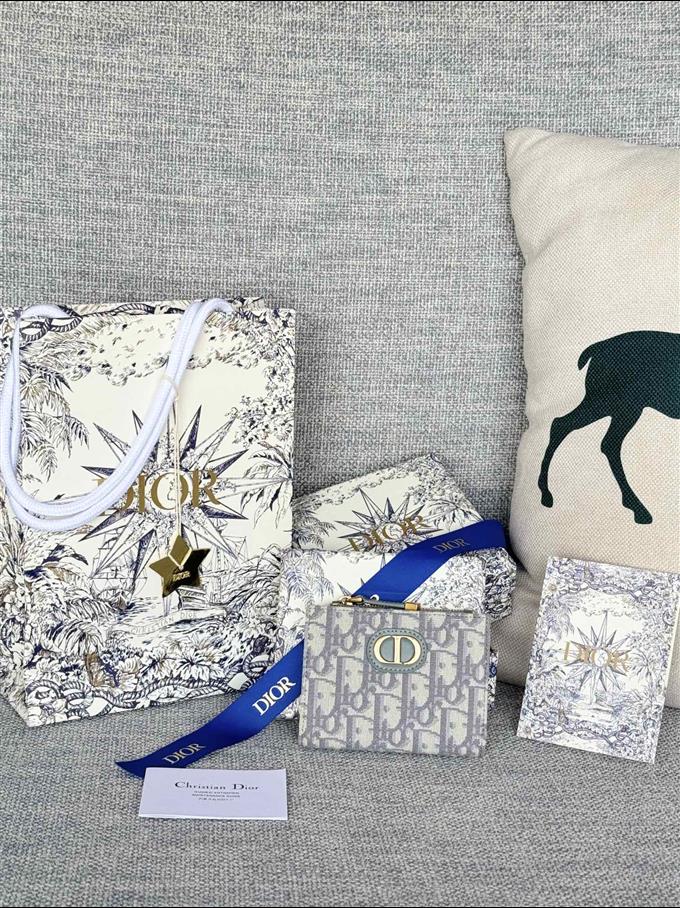 2025228Y250P182128652