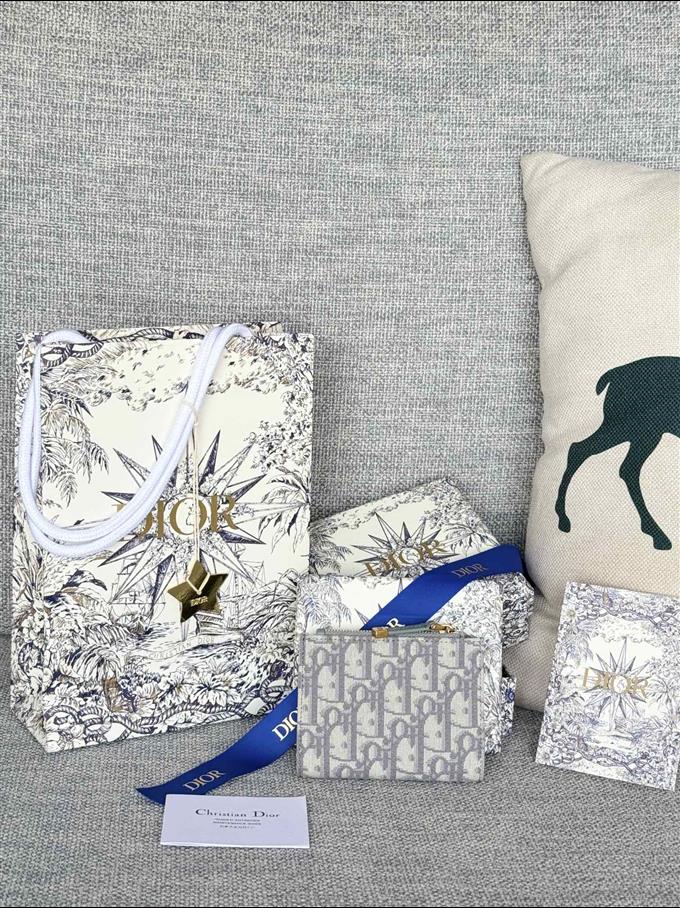 2025228Y250P182128665