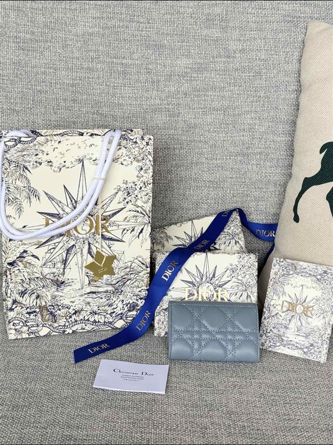 2025228Y250P182129230