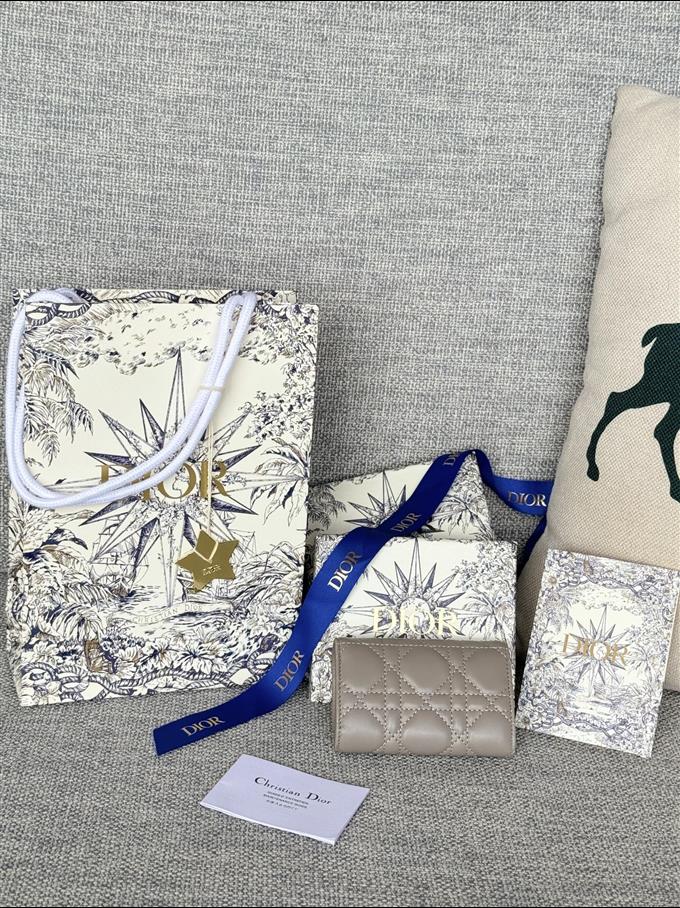 2025228Y250P182129373