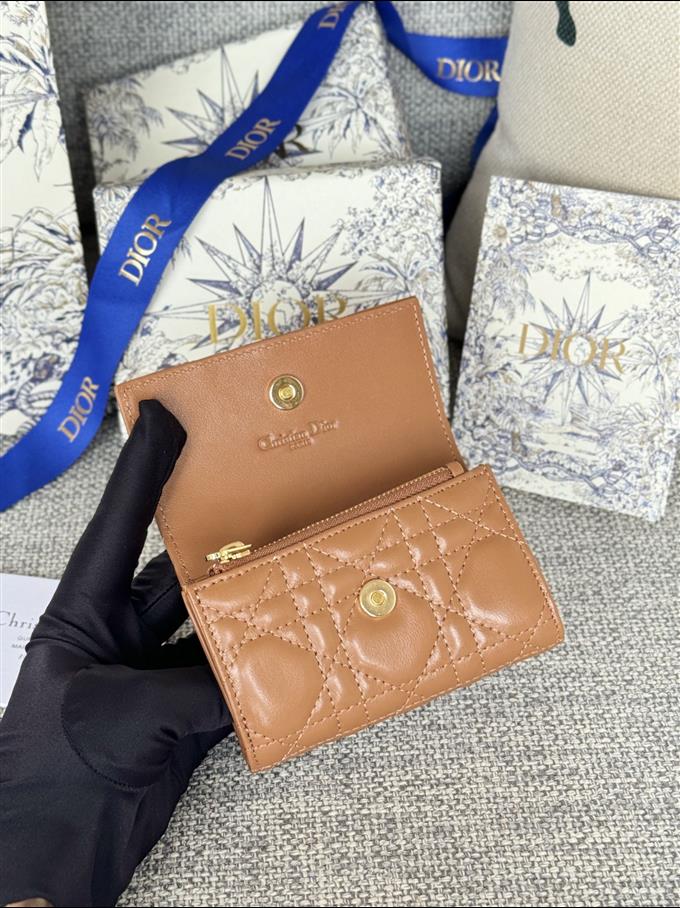 2025228Y250P182129561