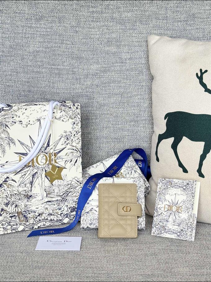 2025228Y250P203545302