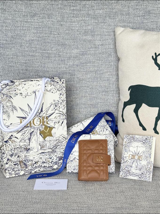 2025228Y250P203545440