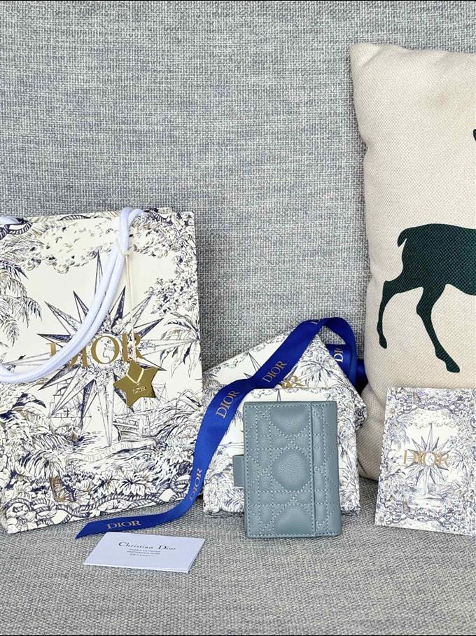 2025228Y250P203545595