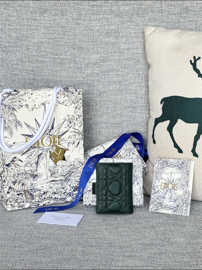 2025228Y250P203545877