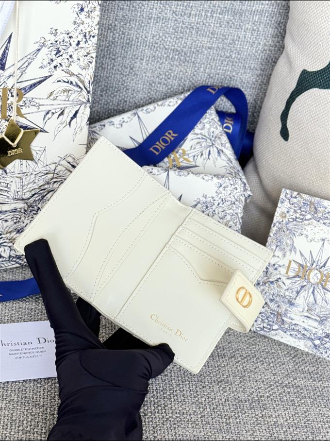 2025228Y250P203546172