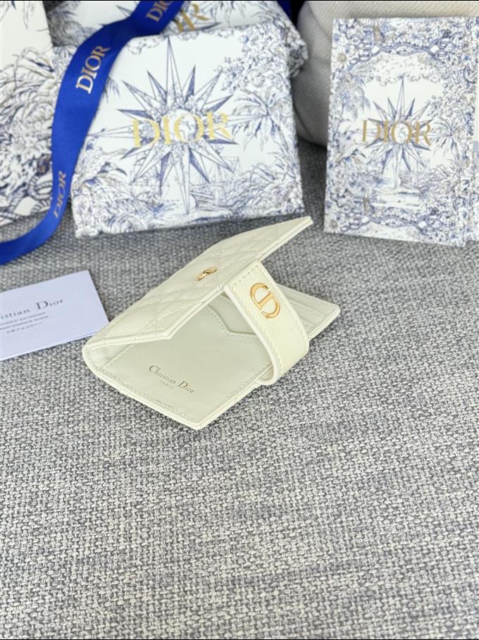 2025228Y250P203546218