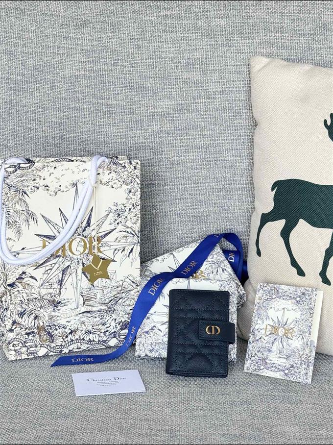 2025228Y250P203546281