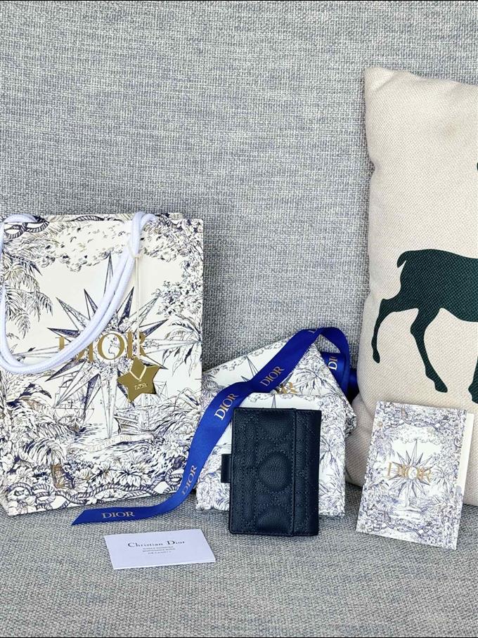 2025228Y250P203546296